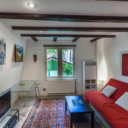 The Loft Lejlighed Strasbourg